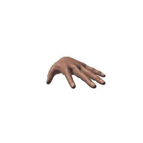 Left Female Hand_Dark